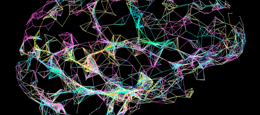 Coloured artwork of the networks in the brain.