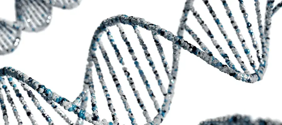 Image of DNA strand