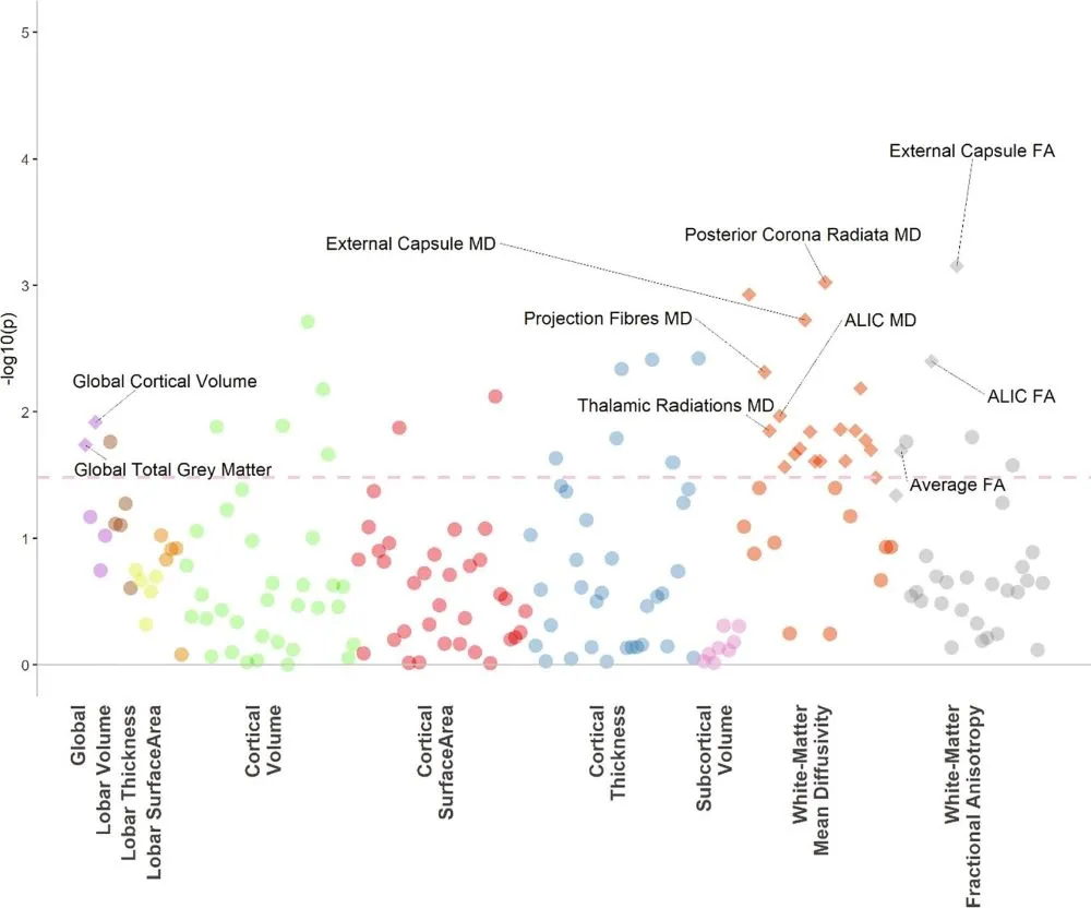 Graph showing the changes in brain structure as described in text