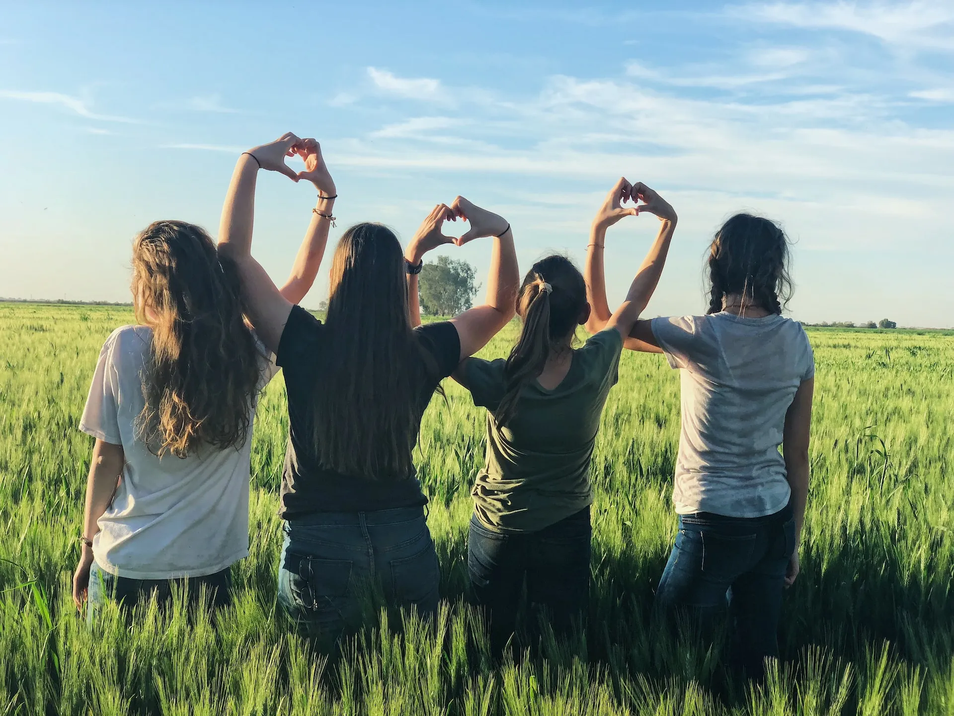 Four women in a sunny wheat field holding hands in heart shapes