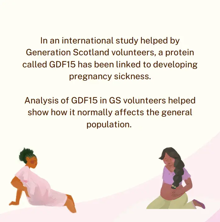 morning sickness summary page 2