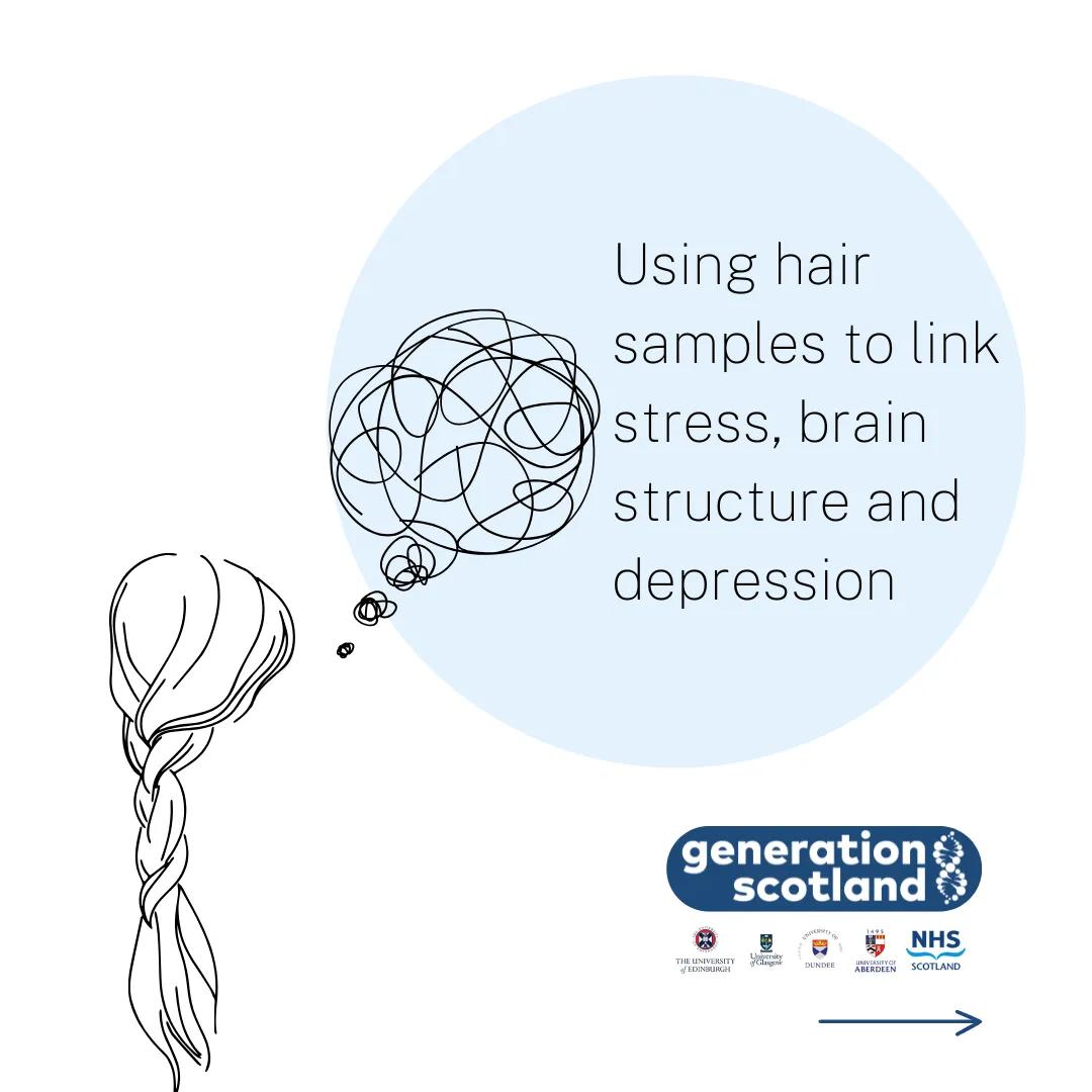 Using hair samples to link stress, brain structure and depression