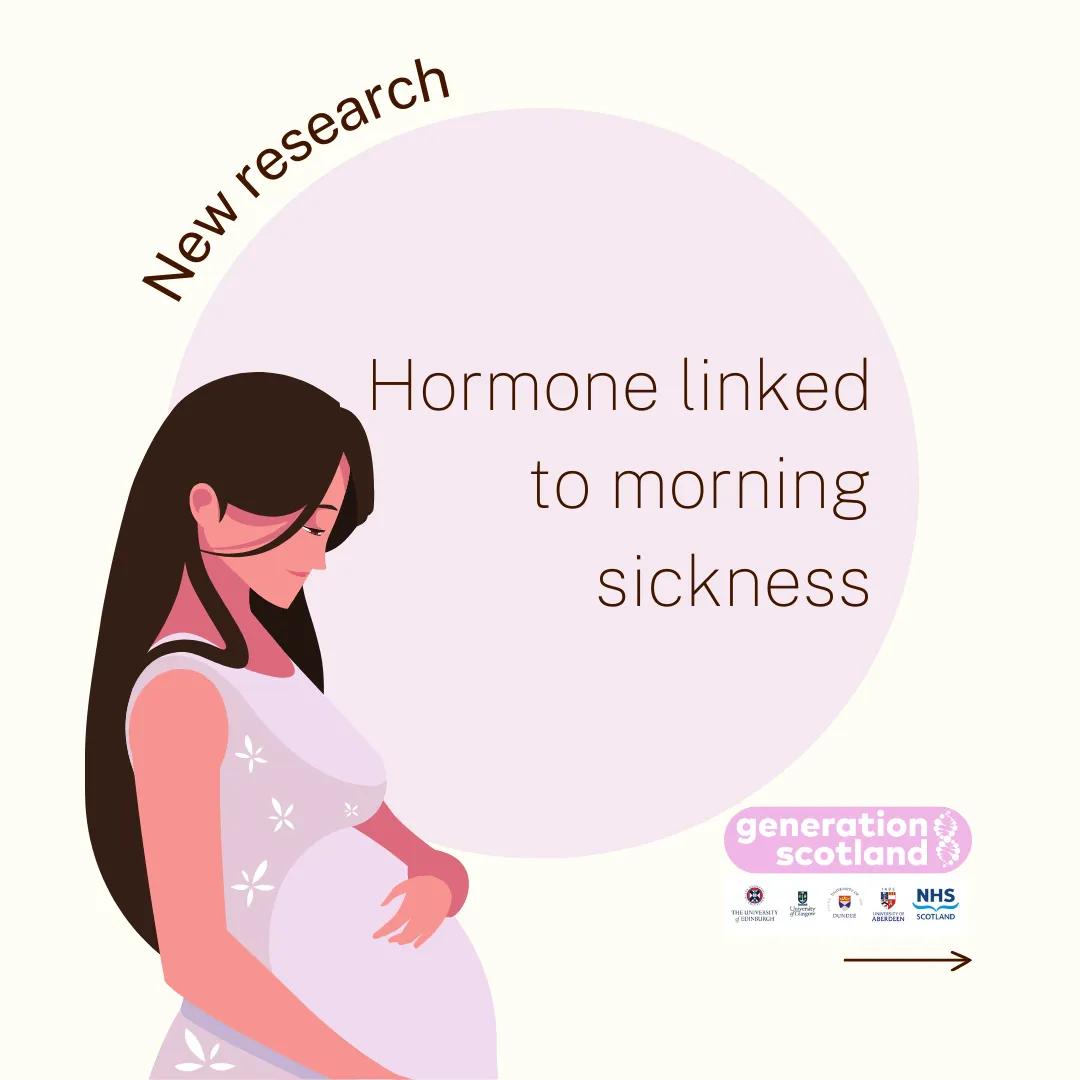 Hormone linked to morning sickness