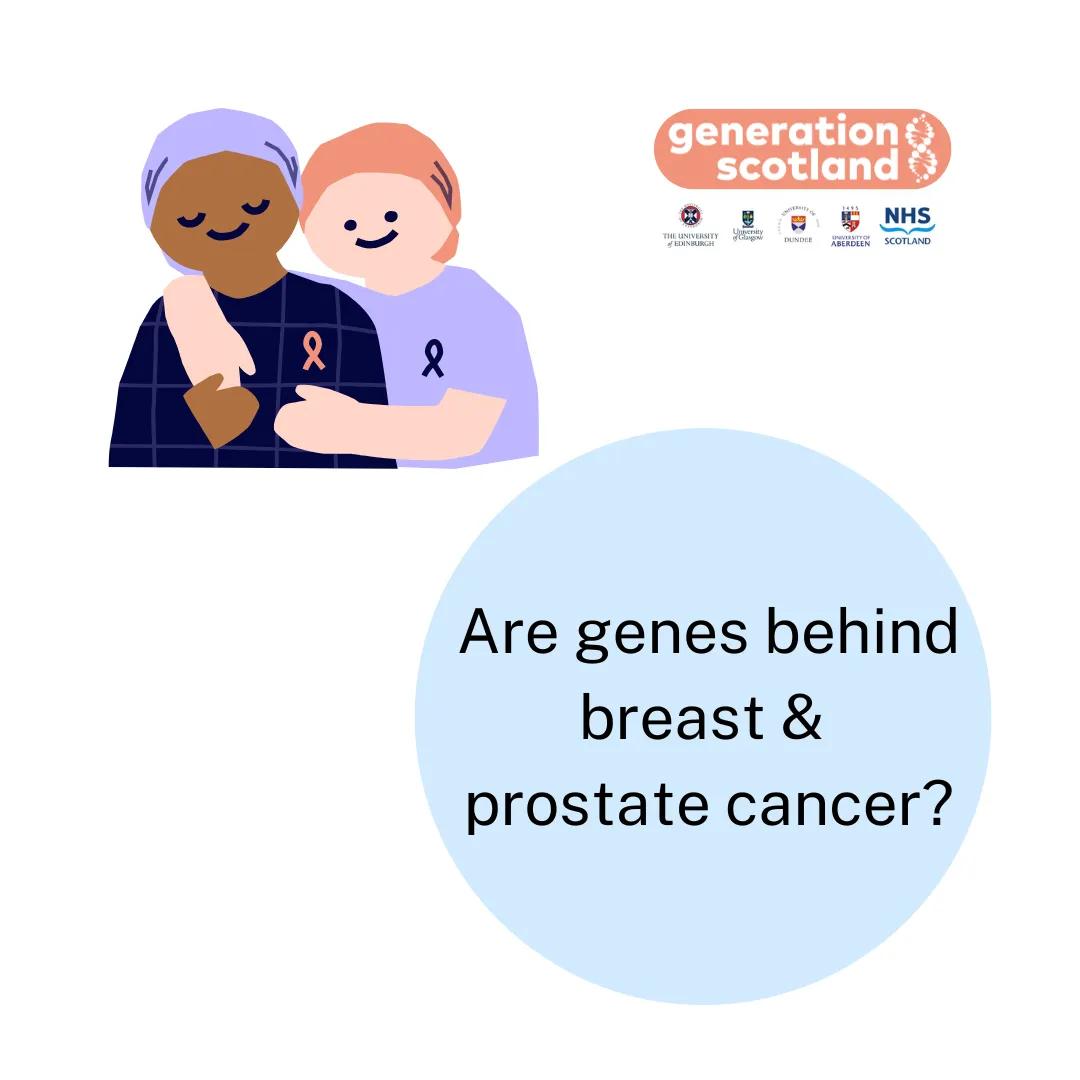 Are genes behind breast and prostate cancer?