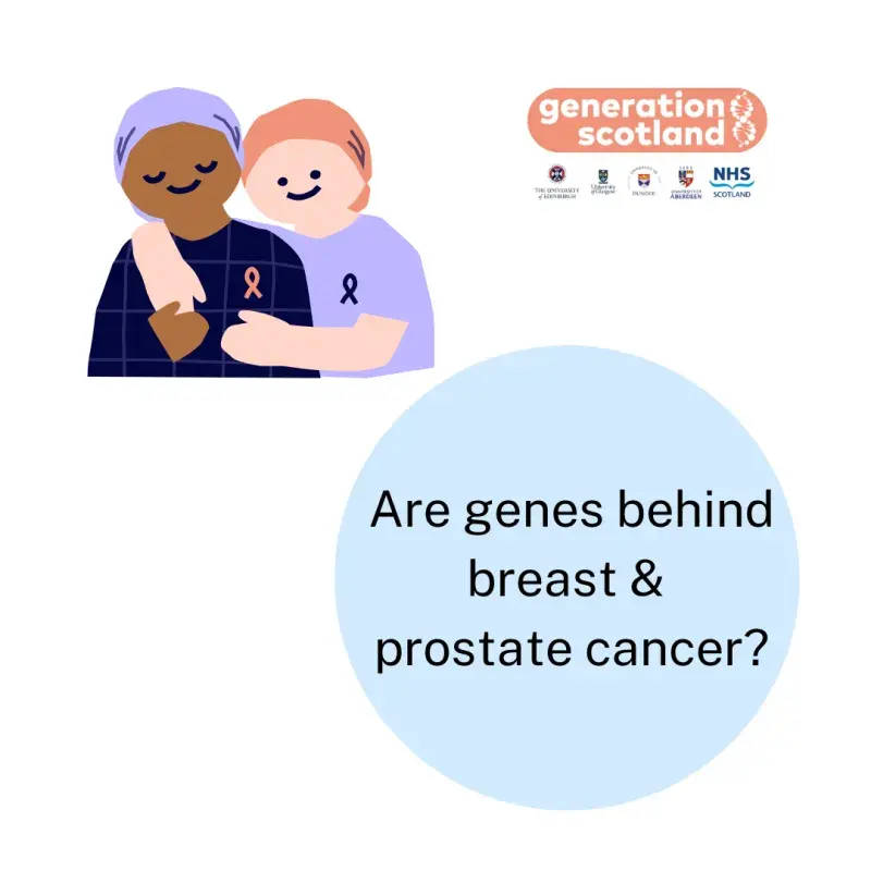 Are genes behind breast and prostate cancer?