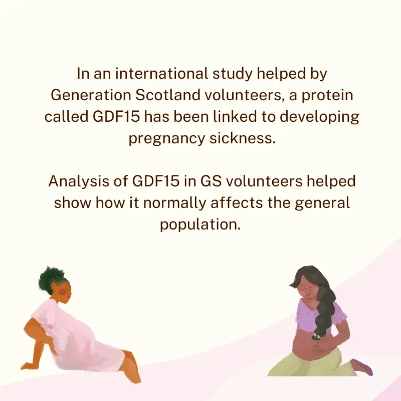 In an international study helped by Generation Scotland volunteers, a protein called GDF15 has been linked to developing pregnancy sickness. Analysis of GDF15 in GS volunteers helped show how it normally affects the general population. 