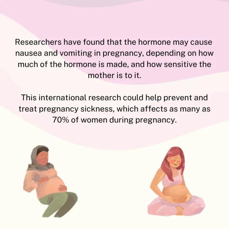 Researchers have found that the hormone may cause  nausea and vomiting in pregnancy, depending on how much of the hormone is made, and how sensitive the mother is to it.  This international research could help prevent and treat pregnancy sickness, which affects as many as 70% of women during pregnancy.
