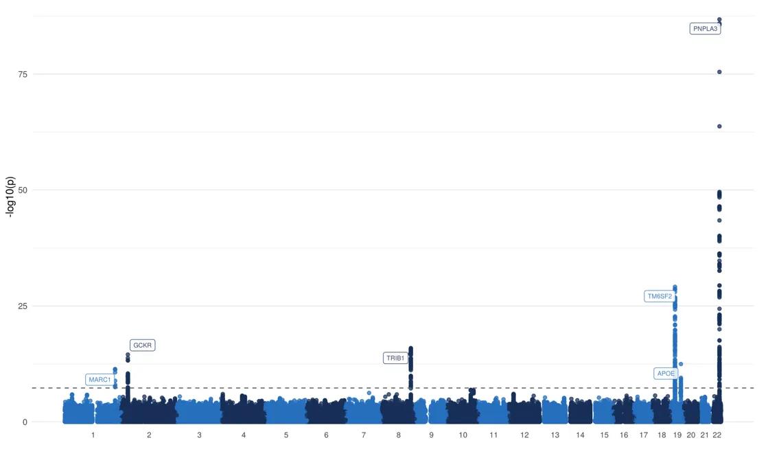 Graph indicating 6 gene variants linked with non-alcoholic fatty liver disease