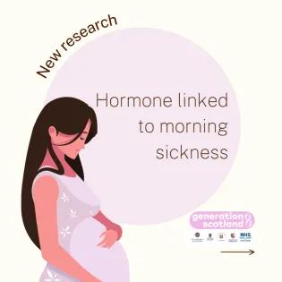 Hormone linked to morning sickness