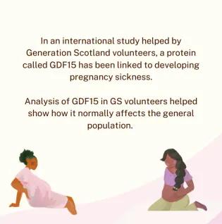 morning sickness summary page 2