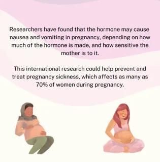 morning sickness summary 2