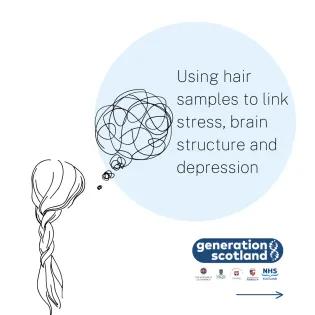 Using hair samples to link stress, brain structure and depression