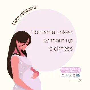 Hormone linked to morning sickness