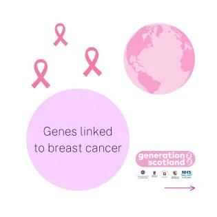 Genes linked to breast cancer