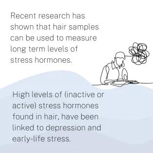 Recent research has shown that hair samples can be used to measure long term levels of stress hormones. High levels of (inactive or active) stress hormones found in hair, have been linked to depression and early-life stress.